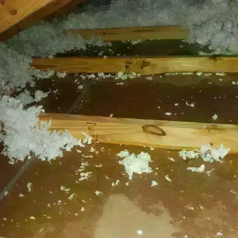 Attic Water Damage in Leo-Cedarville, IN