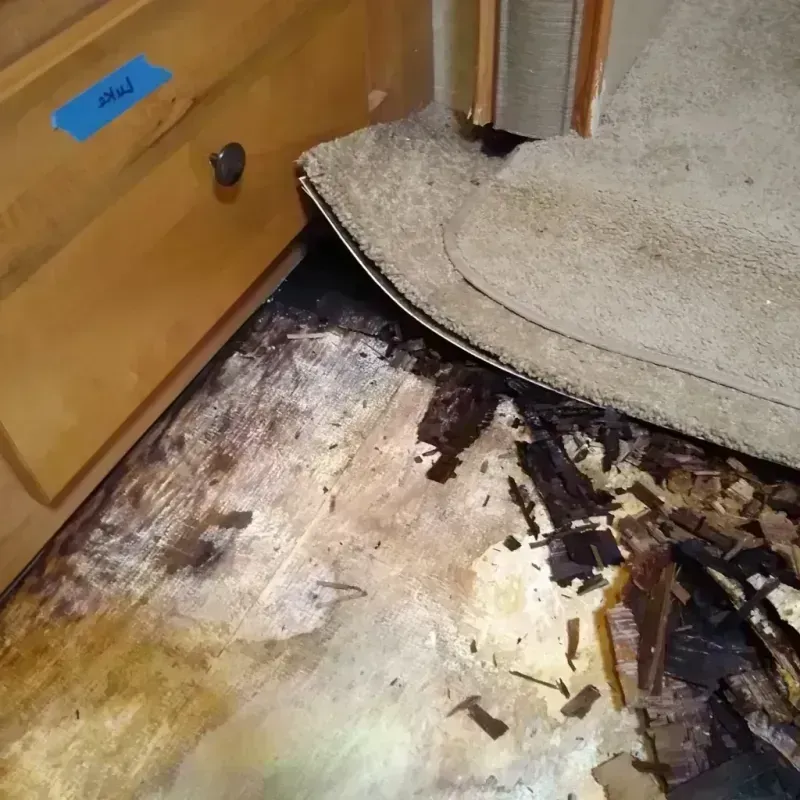 Best Wood Floor Water Damage Service in Leo-Cedarville, IN